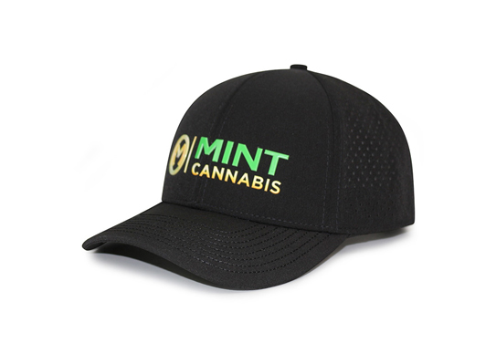 Custom 6 Panel Curved Brim Perforated Waterproof Hat