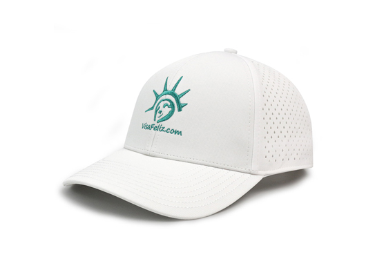 custom 6 panel flat cap with logo