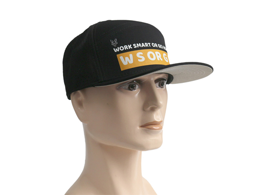 Custom 6 Panel Print Logo Cap