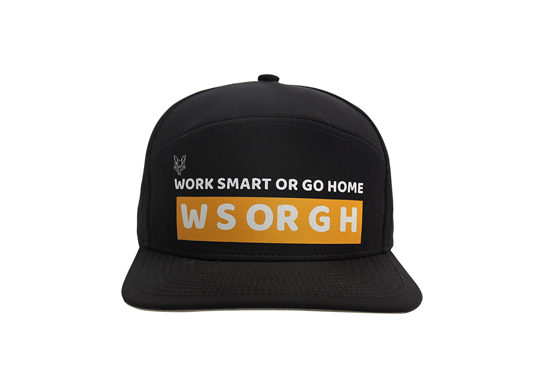 Custom 6 Panel Print Logo Cap
