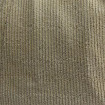 Corduroy