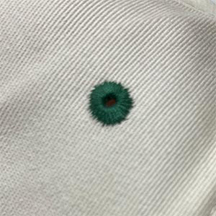 Matching Thread Eyelet