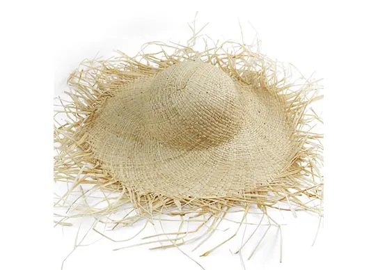 women big brim straw hat